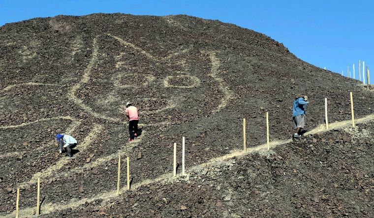 Muchos de los geoglifos tienen formas de felinos, habituales en Nasca. Foto: Efe.