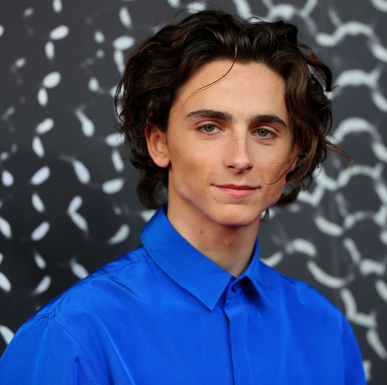 Foto: https://www.cosmopolitan.com/es/famosos/noticias-famosos/a30442445/timothee-chalamet-curiosidades/