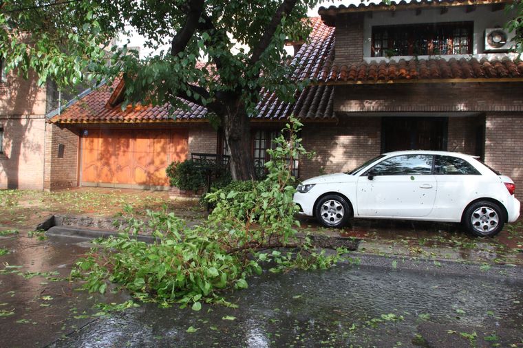 Foto: Maximiliano Ríos/MDZ