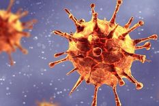 Desde su salto a los humanos hace aproximadamente un año, se han detectado unas dos mutaciones del Sars-CoV 2 cada mes. Foto: GETTY IMAGES