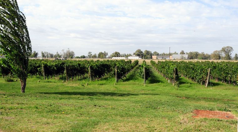 Foto: ALF PONCE MERCADO / MDZ