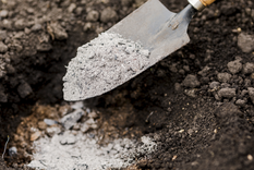 La ceniza como abono se utiliza mucho por su gran cantidad de nutrientes, como el magnesio, el calcio, el fósforo o el potasio, entre otros Foto: Shutterstock