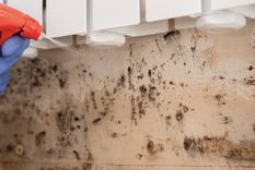 Limpia las paredes de tu hogar con este método natural y biodegradable Foto: Shutterstock
