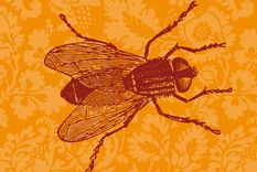 vuelve el bestiario de griselda gambaro