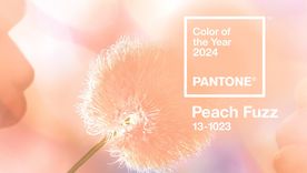 Peach fuzz, el color elegido por Pantone para el año 2024 Foto: Pantone