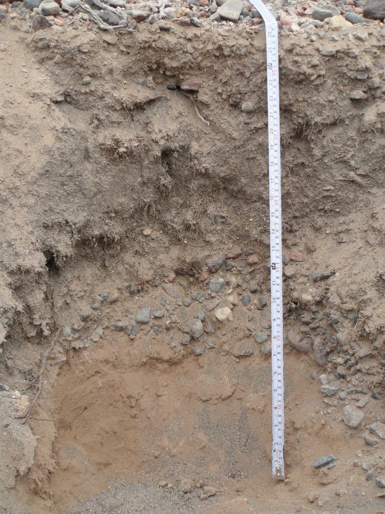 La historia del río Zonda permite entender cómo cambió Mendoza y qué enseñanzas deja sobre el agua en una provincia árida. La historia del río Zonda permite entender cómo cambió Mendoza y qué enseñanzas deja sobre el agua en una provincia árida.