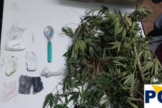 Plantas de marihuana, una balanza y otros elementos fueron incautados en operativos en San Rafael y Las Heras Foto: Ministerio de Seguridad de Mendoza