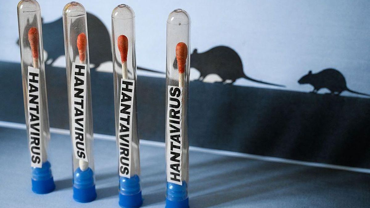 Qué se sabe del viaje por Argentina, Chile y Uruguay de los turistas que presentaron los primeros síntomas de hantavirus en el crucero y luego murieron