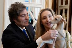 Milei: el desafío de sumar votos en el Congreso y la prueba de fuego que espera antes de enero