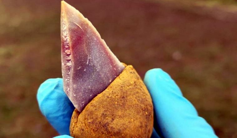 Una herramienta de piedra pegada a un mango hecho de betún líquido con un 55 por ciento de ocre añadido. Foto: Dpa.