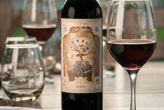Vinos boutique