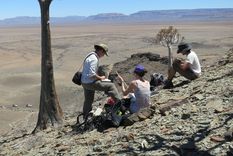 hallan arrecife formado hace 548 millones de anos