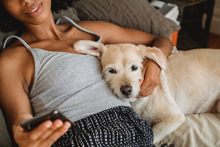 Perros A las mascotas les encanta dormir con sus dueños y eso tiene una explicación Foto: Pexels