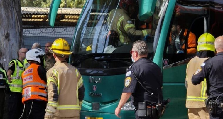 Bomberos y policías trabajan en el lugar. Foto: X