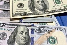 La brecha cambiaria del dólar blue con el tipo de cambio oficial mayorista se ubica en el 98%. Foto: ALF PONCE MERCADO / MDZ