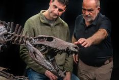 Un equipo internacional de paleontólogos anunció el descubrimiento de una nueva especie de cocodrilo carnívoro que habitó la Patagonia hace 70 millones de años.