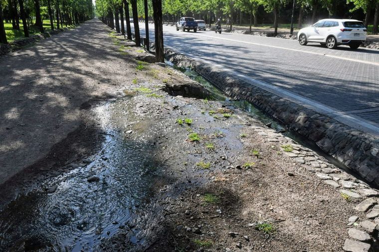 La tapa de distribución cloacal desbordada. Foto: ALF PONCE MERCADO / MDZ