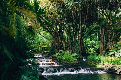 Costa Rica: Propone un turismo de lujo enfocado en la naturaleza, el bienestar y experiencias auténticas. Costa Rica: Propone un turismo de lujo enfocado en la naturaleza, el bienestar y experiencias auténticas.