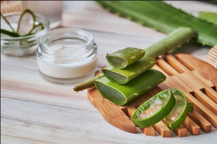 El aloe vera es el remedio casero más usado contra quemaduras de verano.Foto: Archivo El aloe vera es el remedio casero más usado contra quemaduras de verano.Foto: Archivo