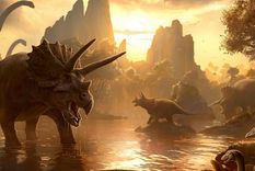 descubrieron que los dinosaurios tomaban el hongo del que se extrae el lsd