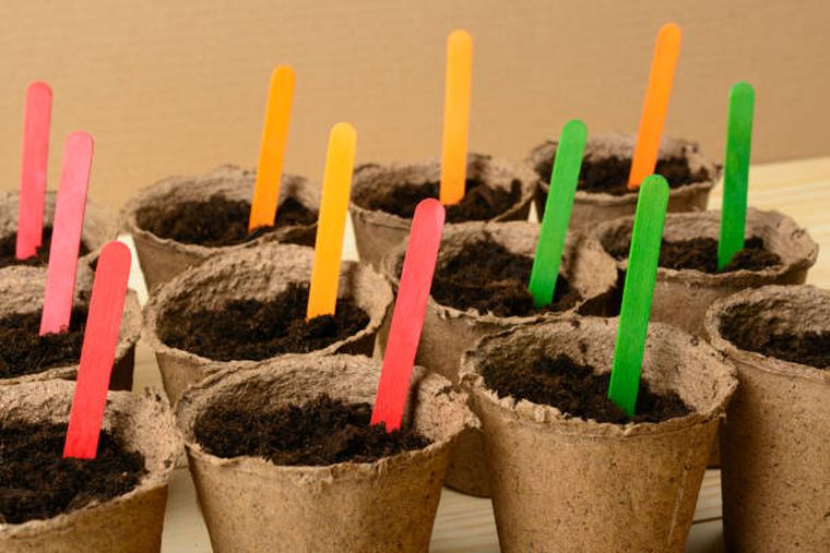 Palitos de helado en el jardín: cómo usarlos