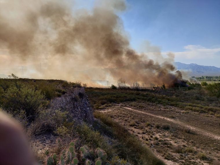 Incendio en Luján El incendio comenzó en campos incultos de la zona y afectó a la línea eléctrica.
