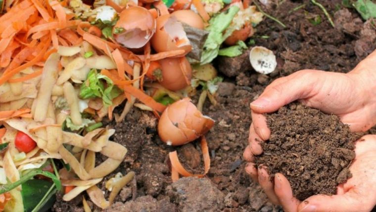 Según la Organización de las Naciones Unidas para la Agricultura y la Alimentación (FAO), aproximadamente un tercio de todos los alimentos producidos en el mundo se desperdicia. Foto: BR.