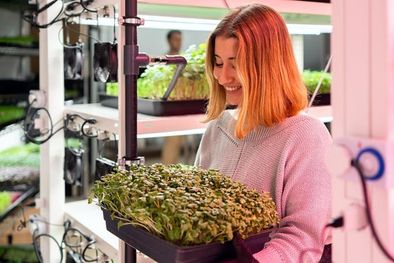 MDZol | La producción de alimentos genera enormes cantidades de gases de efecto invernadero, por lo que investigadores buscan mejorar la agricultura para hacerla más sustentable. Foto: GETTY IMAGES