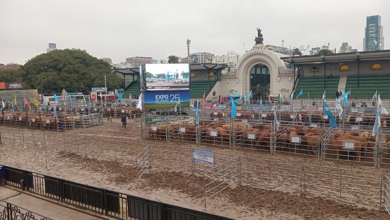 La Exposición Rural abrió sus puertas y funcionará hasta el domingo 27.