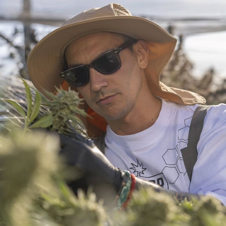 Exequiel Pochettino, CEO de Dr. Cultivo y secretario de la Asociación de Cannabis Medicinal. Exequiel Pochettino, CEO de Dr. Cultivo y secretario de la Asociación de Cannabis Medicinal.