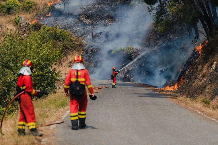 Pedro Sánchez subrayó que el fenómeno no puede analizarse de manera aislada, sino como parte de la emergencia climática global.