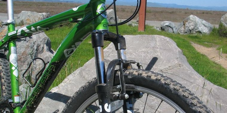 Foto: web