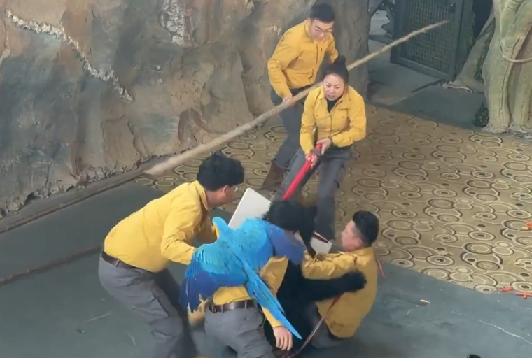 Aún se desconoce la razón que llevó al oso a atacar a su cuidador de esa manera.