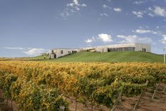Una bodega que impacta. Foto: Gentileza Malma.