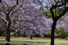 Foto: ciudad de Buenos Aires Foto: ciudad de Buenos Aires