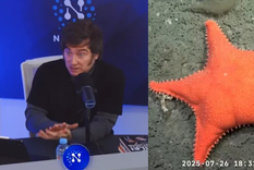 CONICET 1 – Javier Milei 0: la ciencia pública hundió al streaming libertario en el rating.