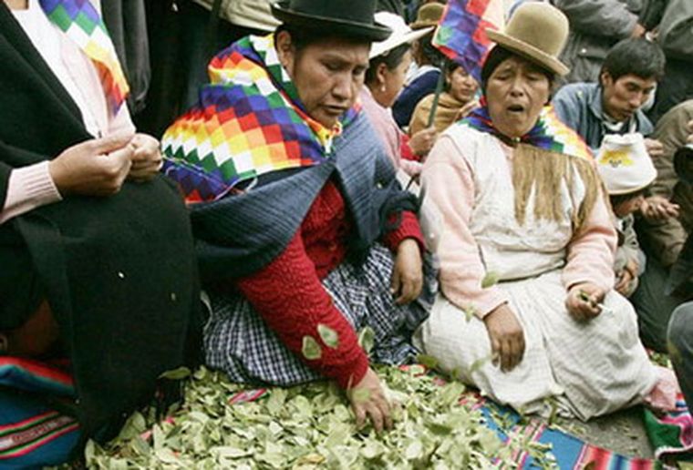 En Bolivia buscan mayor control en la producción de coca.