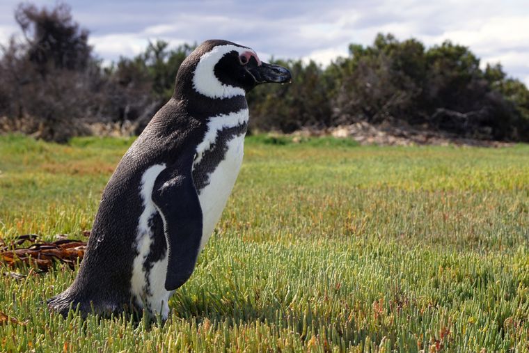 El destino de la Patagonia que fue reconocido por el New York Times. El destino de la Patagonia que fue reconocido por el New York Times.
