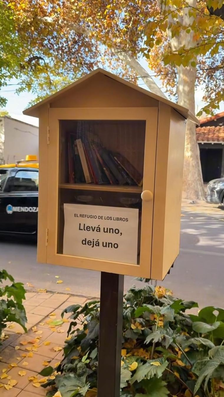 Así luce el 