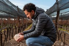 Juan Pablo Murgia nos habla de Pinot Grigio. Foto: Gentileza