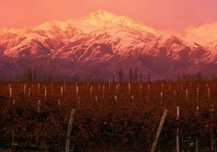 Viñedo en Gualtayarí, Tupungato.