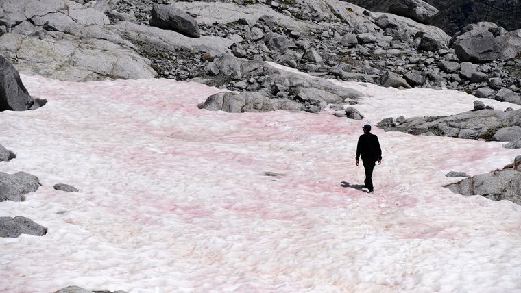 Un hombre camina sobre el glaciar Presena, Italia, el 4 de julio de 2020.