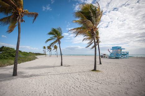 Es considerada una de las playas con agua más cristalina de Miami. Foto: miamiandbeaches.lat