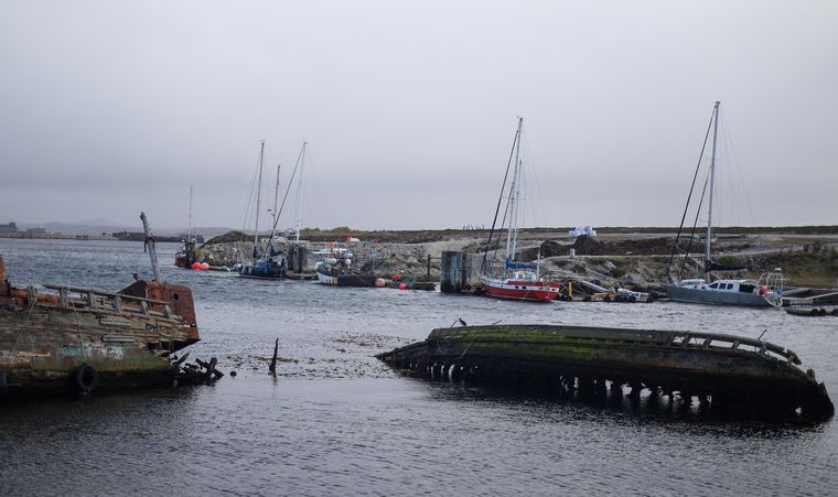 Islas Malvinas (7)