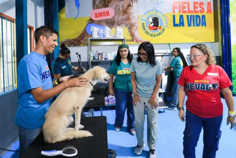 Venezuela: Inauguró un albergue para 400 mascotas rescatadas tras el doble sismo.