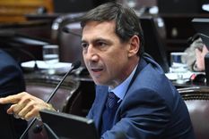 El radical Luis Naidenoff