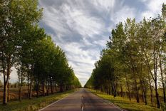 Un camino bordeado de álamos conduce hacia Estancia Grande, invitando a descubrir este rincón colonial entre sierras y naturaleza.