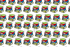 ACERTIJO VISUAL ACERTIJO VISUAL, RETO VISUAL, LIBRO Foto: MDZ ONLINE