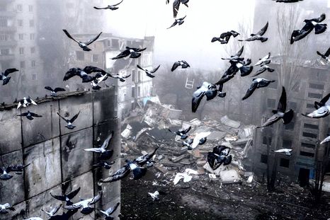Palomas, ejemplo de animales que se adaptan a las ciudades, según el descubrimiento. Foto Efe Palomas, ejemplo de animales que se adaptan a las ciudades, según el descubrimiento. Foto Efe