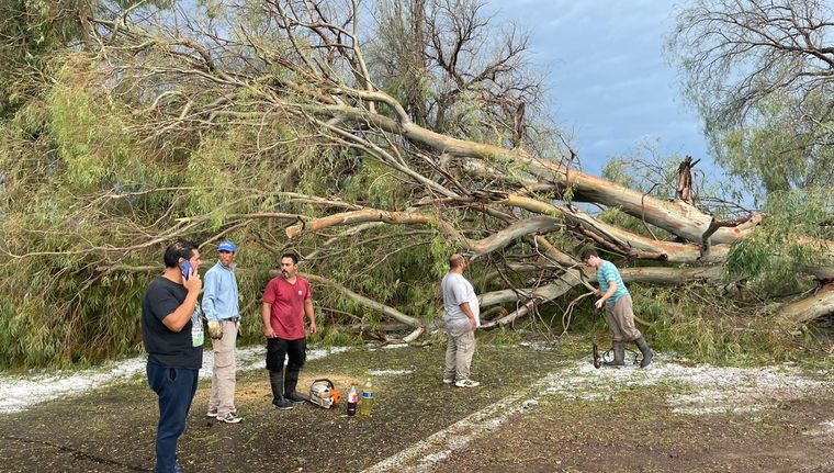 La localidad de Real del Padre es la más afectada a nivel productivo por la tormenta de granizo del lunes. Foto: Gentileza
